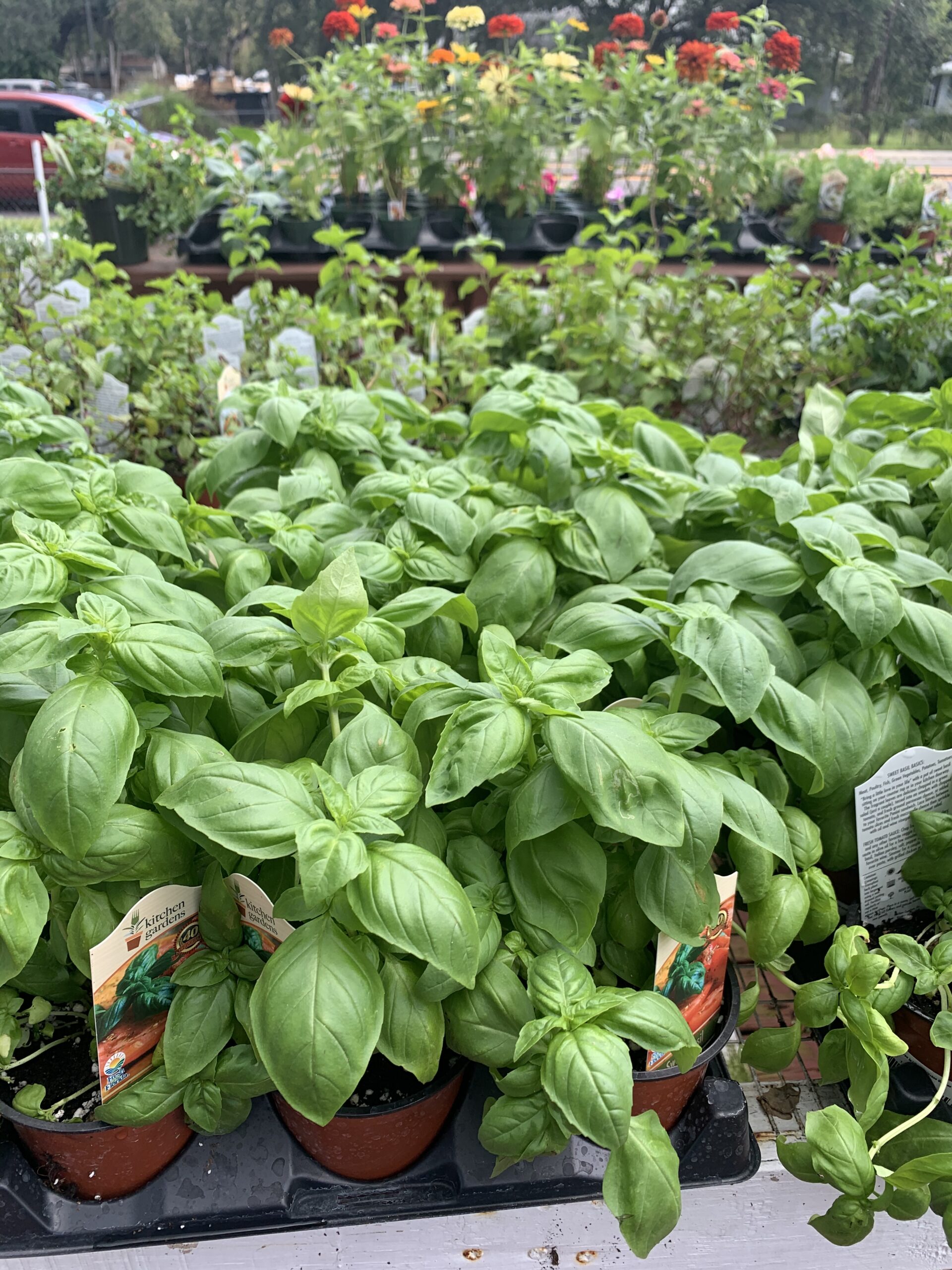 EarthBox Blog 3, to Florida Fall!