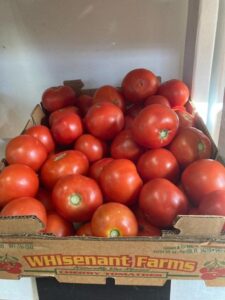 Fresh picked tomatoes for sale